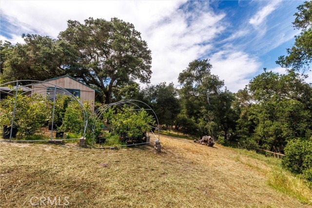 3175 Arena, Atascadero CA: https://media.crmls.org/medias/7e60c86e-073f-44d5-ad97-f3129b58e482.jpg