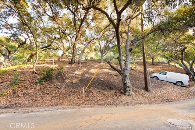 Detail Gallery Image 19 of 30 For 0 Elzevir Rd & Morro Dr Rd, Woodland Hills,  CA 91364 - – Beds | – Baths