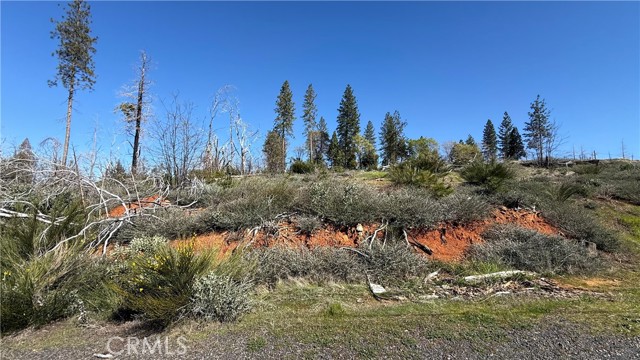 Detail Gallery Image 11 of 12 For 0 Starcrest Ln, Berry Creek,  CA 95916 - – Beds | – Baths