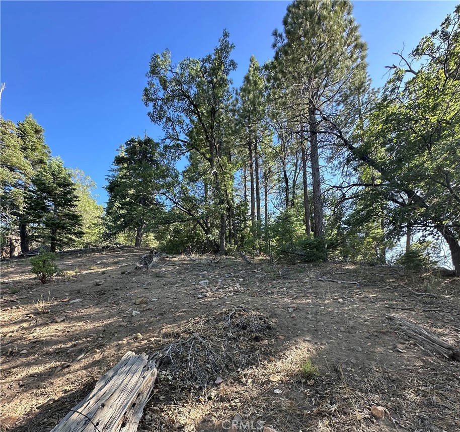 MLS #CV25165230 image #10