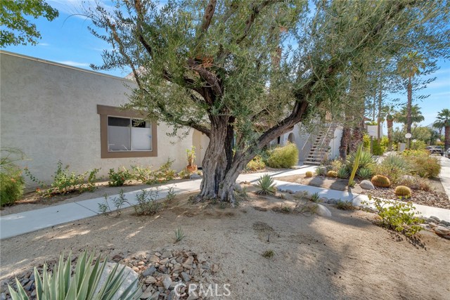 Image 3 for 1824  N Mira Loma WAY