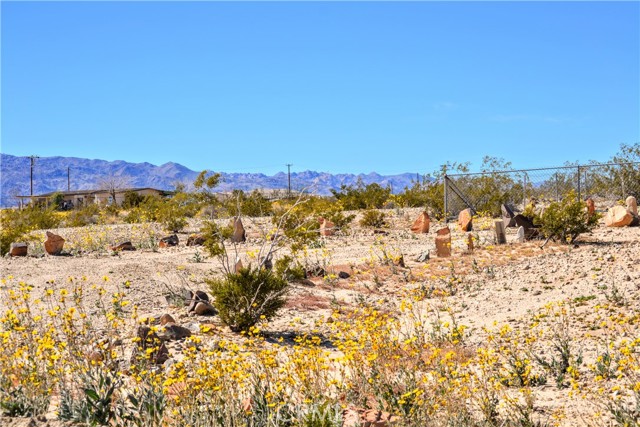 Detail Gallery Image 3 of 28 For 4040 Peter Rabbit, Twentynine Palms,  CA 92277 - 2 Beds | 1 Baths