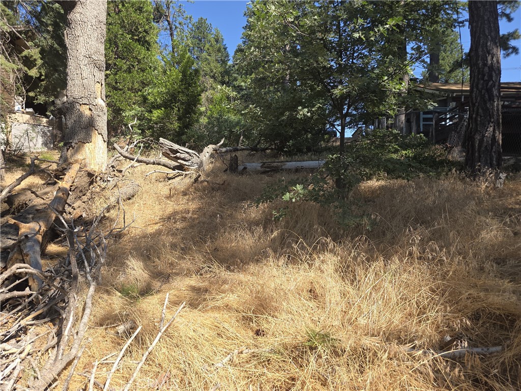 MLS #IV25164283 image #22