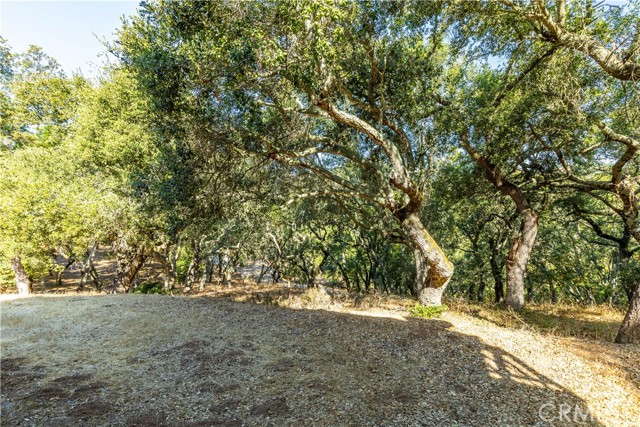 Detail Gallery Image 43 of 47 For 14400 San Miguel Rd, Atascadero,  CA 93422 - 2 Beds | 2 Baths