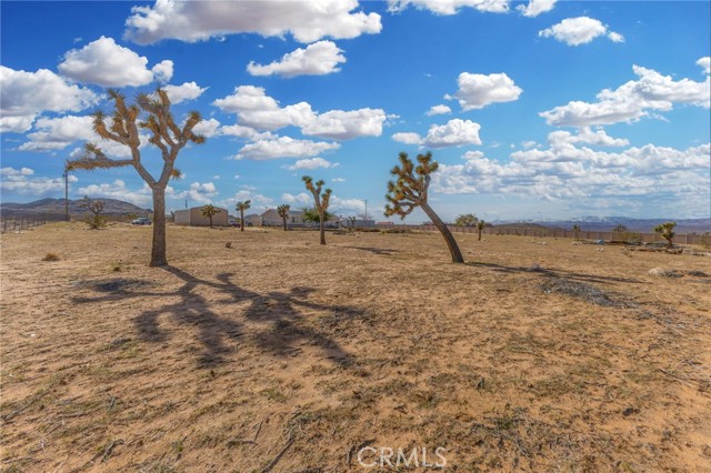 Detail Gallery Image 42 of 54 For 324 Anita Rd, Landers,  CA 92285 - 3 Beds | 2 Baths