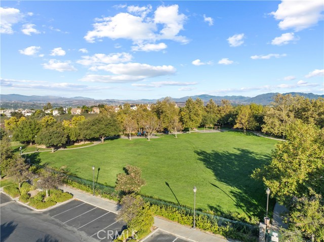 Image 57 of 60 For 25679 Smoketree