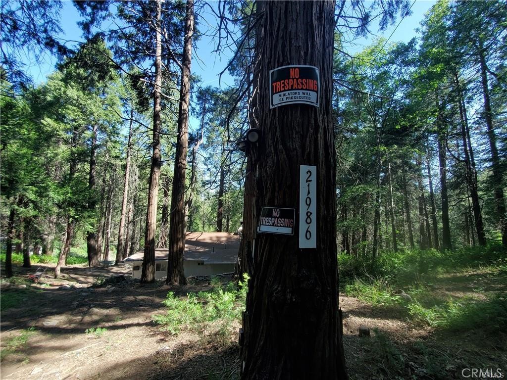 MLS #IV23145885 image #13