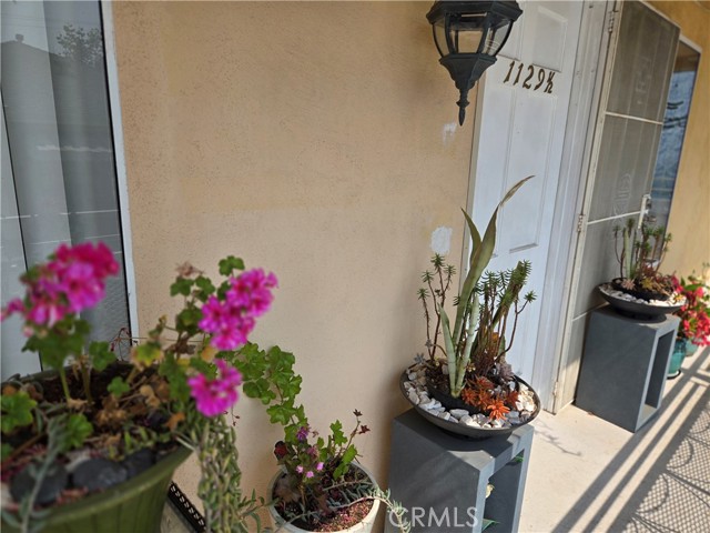 1129 N Clark ST Unit: 1129 1/2