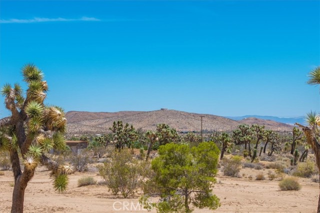 58382 Sunny Sands Drive, Yucca Valley CA: https://media.crmls.org/medias/7e873456-a6a3-4e3b-98c6-e871eb93e9cc.jpg
