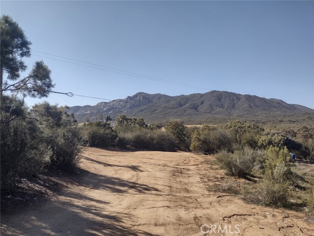 37400 Tripp Flat Road, Anza, California 92539, ,Land,For Sale,37400 Tripp Flat Road,CRSW23021079