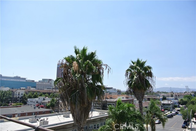 Roof View