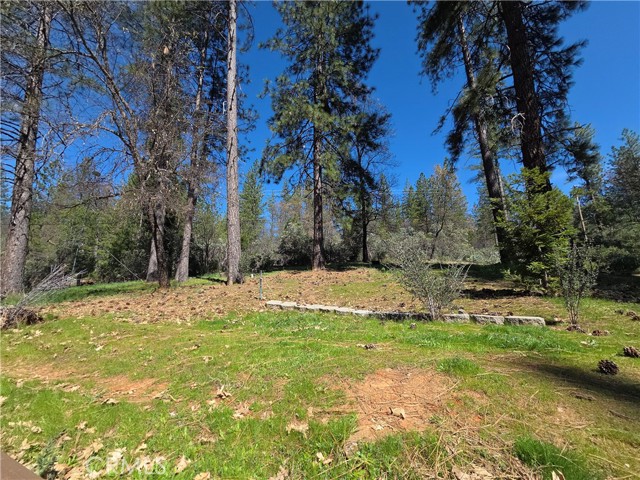 Detail Gallery Image 44 of 51 For 1151 Gorley Ln, Mokelumne Hill,  CA 95245 - 3 Beds | 2/1 Baths