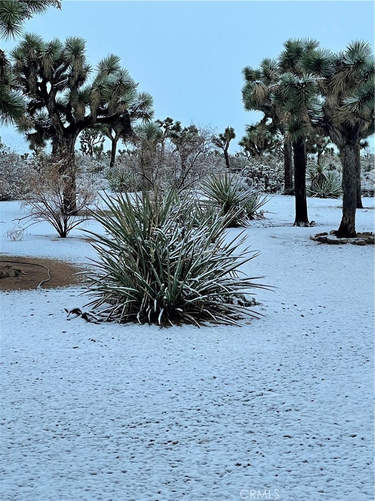 7E9Ee974 Efd2 49Bf A22C 89Cb25043Cee 59019 Pueblo Trail, Yucca Valley, Ca 92284 &Lt;Span Style='BackgroundColor:transparent;Padding:0Px;'&Gt; &Lt;Small&Gt; &Lt;I&Gt; &Lt;/I&Gt; &Lt;/Small&Gt;&Lt;/Span&Gt;