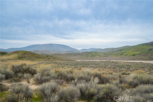 Detail Gallery Image 3 of 20 For 0 Vac/Tiopee Ln/Vic Tillie, Gorman,  CA 93536 - – Beds | – Baths