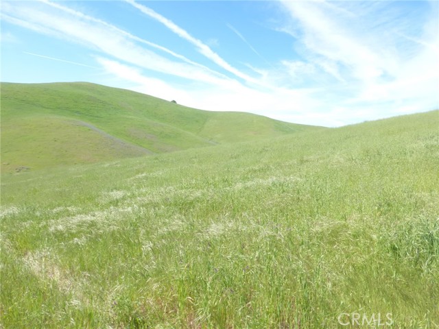 Detail Gallery Image 14 of 42 For 0 Douglas Rd. (Lot 42), San Miguel,  CA 93451 - – Beds | – Baths