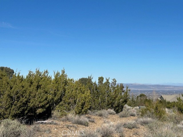 Detail Gallery Image 10 of 11 For 0 Sky Line Dr, Pinon Hills,  CA 92372 - – Beds | – Baths