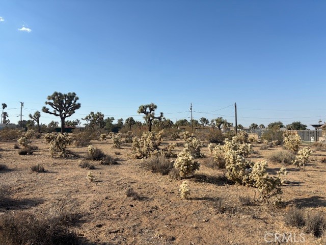 MLS #JT25181795 image #1