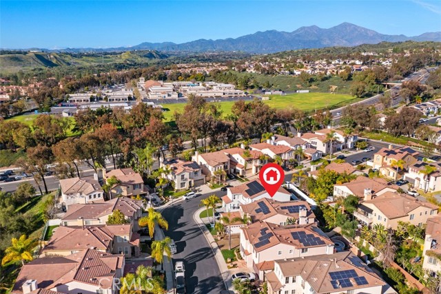 Image 8 of 57 For 30 Acanthus  