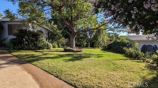 Detail Gallery Image 3 of 32 For 1434 Pacific St, Redlands,  CA 92373 - 3 Beds | 2 Baths