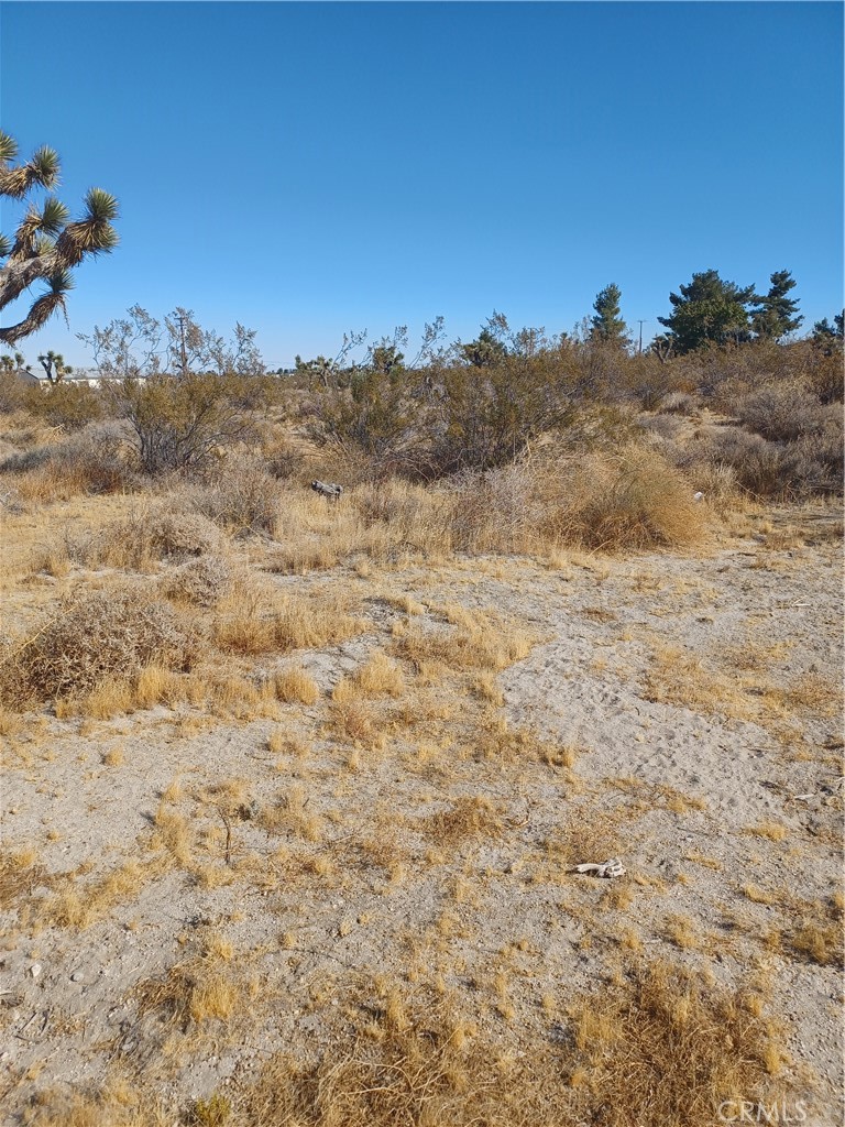 MLS #CV25117783 image #8