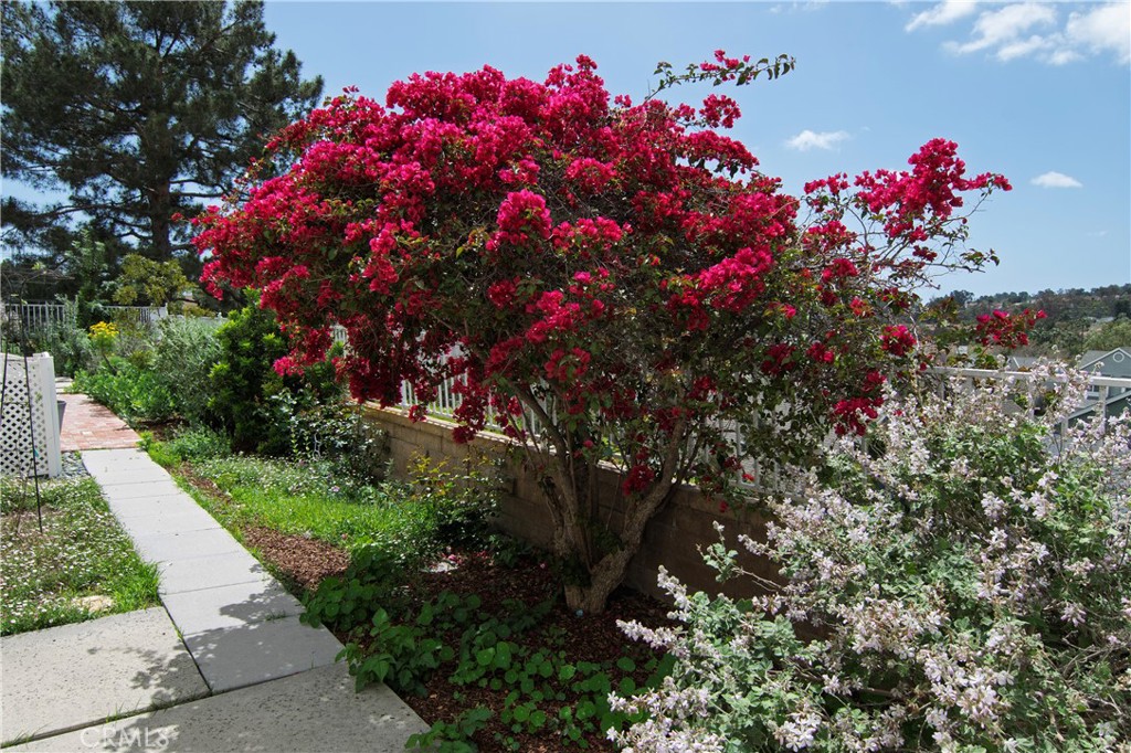 7ec91327 135e 456c 9438 6866e62bbd98