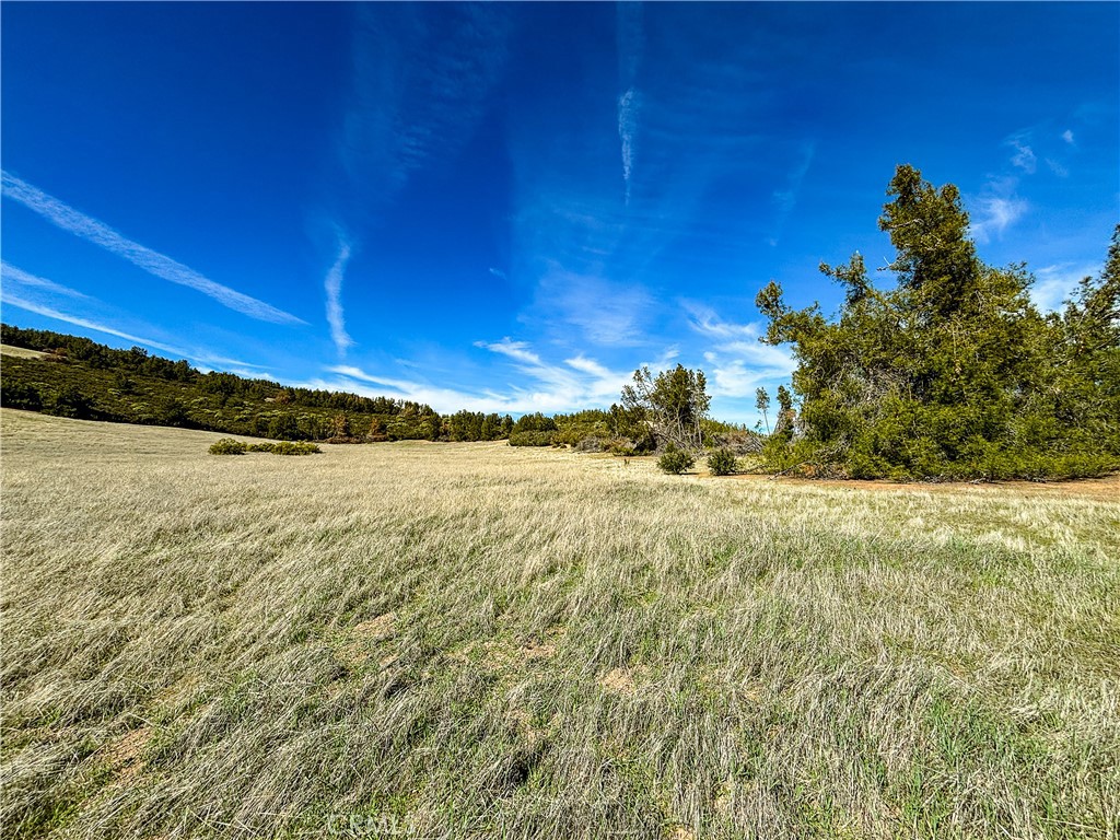 640 Robinson Canyon