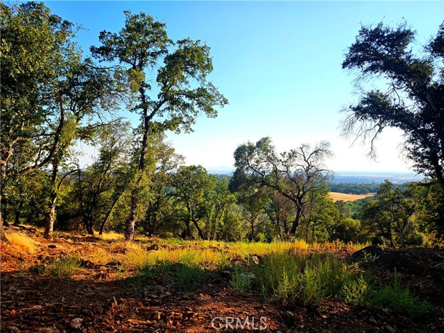 Detail Gallery Image 12 of 13 For 170 Wakefield Dr, Oroville,  CA 95966 - – Beds | – Baths