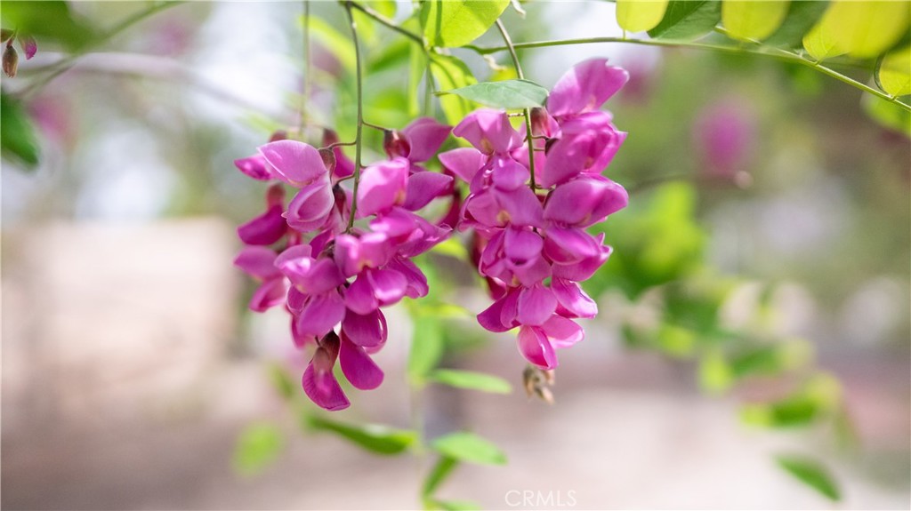 https://media.crmls.org/medias/7ed2b15b-5750-4011-a185-074fa73f907e.jpg?preset=X-Large