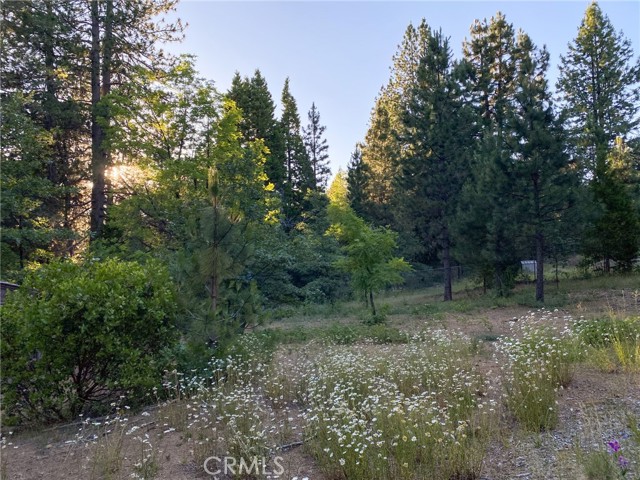 Detail Gallery Image 62 of 65 For 2737 S Old Stage Rd, Mount Shasta,  CA 96067 - 3 Beds | 2/1 Baths