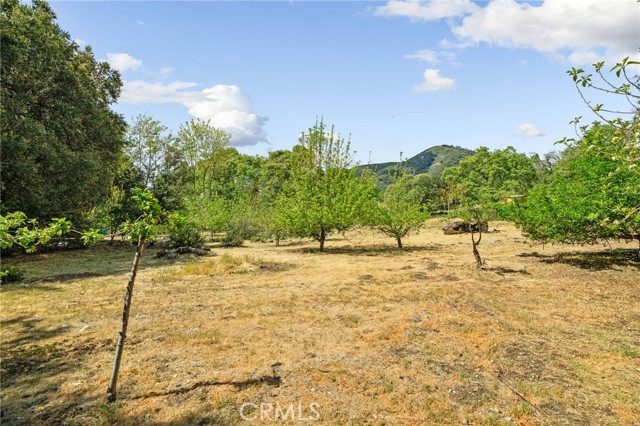 Detail Gallery Image 43 of 57 For 39804 Pine Bench, Yucaipa,  CA 92399 - 4 Beds | 3 Baths