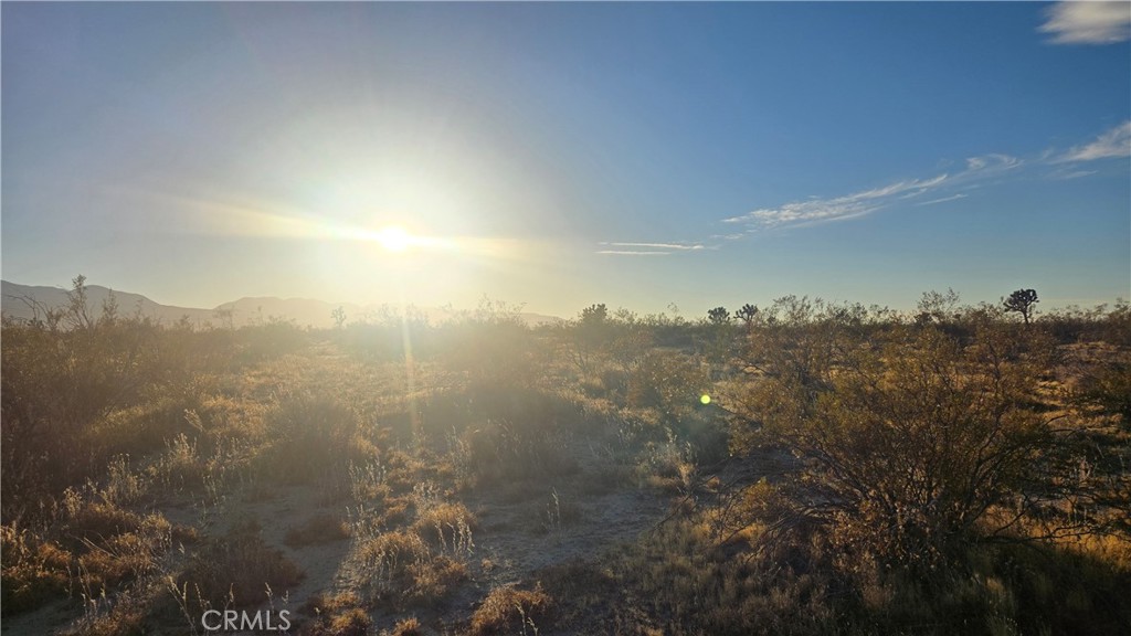 MLS #SR25151837 image #14