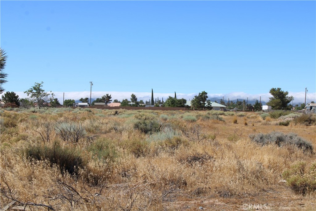 MLS #HD26167724 image #9