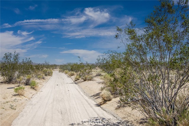 64532 Chollita Road, Joshua Tree, California 92252, ,Land,For Sale,64532 Chollita Road,CRJT23175359