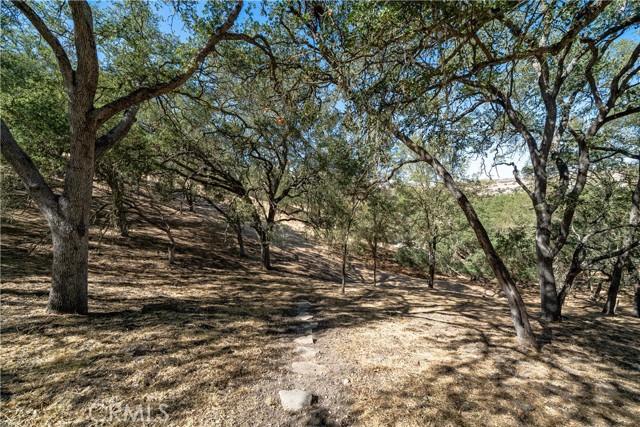 9055 Junipero Avenue, Atascadero CA: https://media.crmls.org/medias/7eebb7f7-fda2-473d-9745-dee34524298c.jpg
