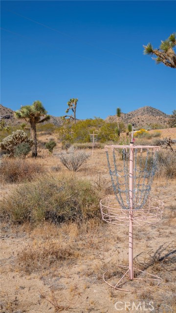 Detail Gallery Image 65 of 66 For 8825 Lilley Rd, Joshua Tree,  CA 92252 - 3 Beds | 2 Baths