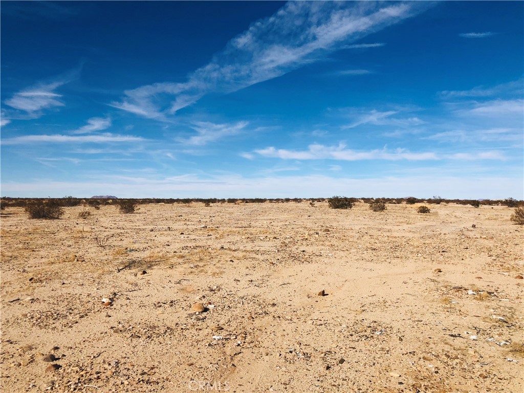 MLS #JT25151667 image #4