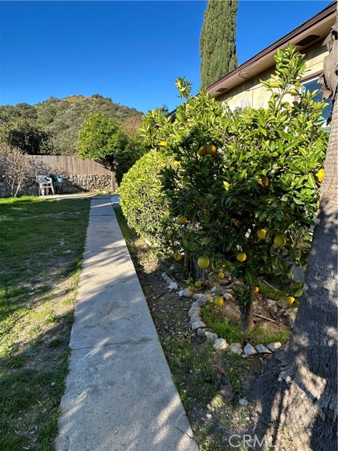 Detail Gallery Image 18 of 19 For 9241 Pali, Tujunga,  CA 91042 - 3 Beds | 2 Baths