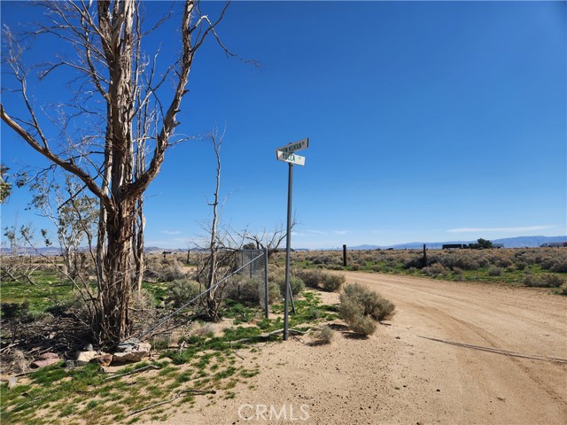 Detail Gallery Image 2 of 20 For 0 Yucca Rd, Newberry Springs,  CA 92365 - – Beds | – Baths