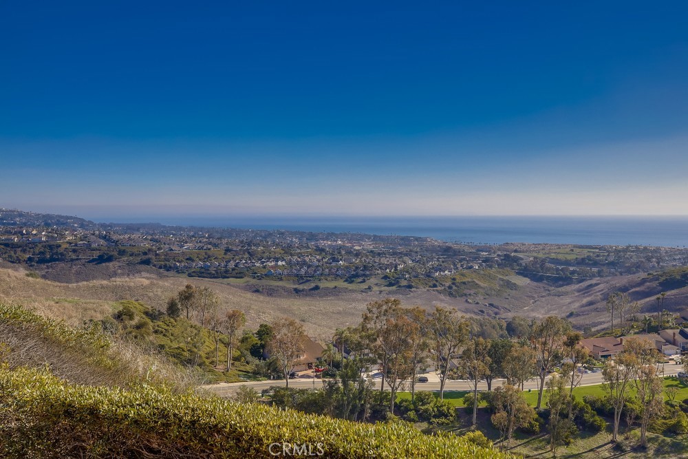 MLS #OC25265308 image #59