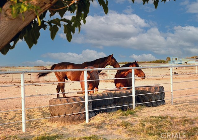 Detail Gallery Image 20 of 22 For 26701 Blue Water Rd, Helendale,  CA 92342 - – Beds | – Baths