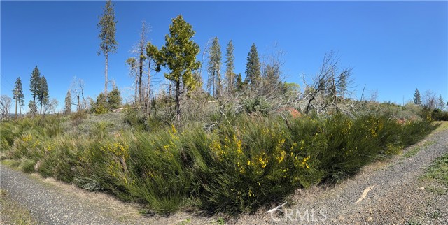 Detail Gallery Image 6 of 12 For 0 Starcrest Ln, Berry Creek,  CA 95916 - – Beds | – Baths