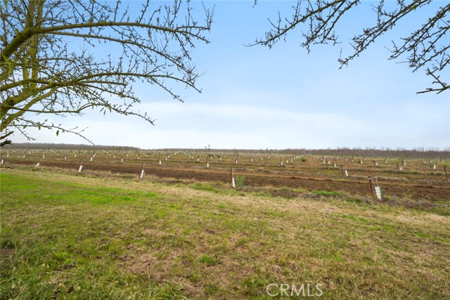 Detail Gallery Image 42 of 47 For 16221 Carrolton, Escalon,  CA 95320 - – Beds | – Baths