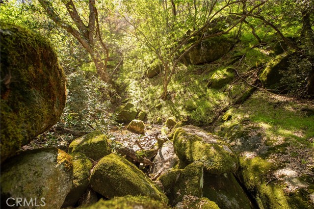 Detail Gallery Image 52 of 74 For 44981 Todd Eymann Rd, Miramonte,  CA 93641 - 1 Beds | 1 Baths