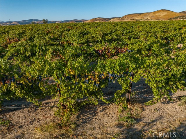 Detail Gallery Image 75 of 75 For 52540 Bradley Lockwood Rd, Bradley,  CA 93426 - 5 Beds | 2/2 Baths