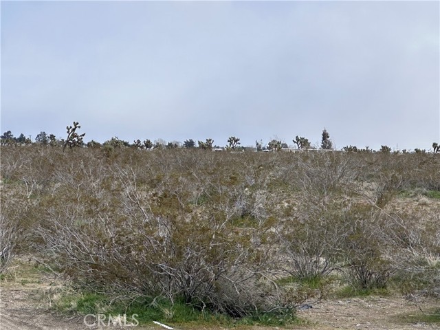 Detail Gallery Image 18 of 27 For 0 30980410, Phelan,  CA 92371 - – Beds | – Baths