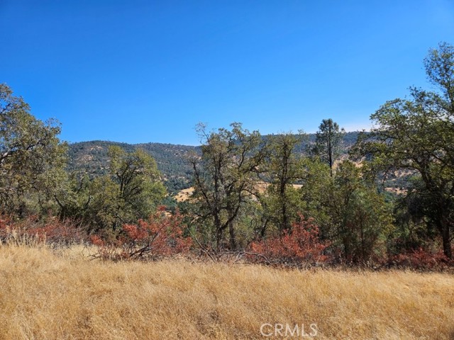 Detail Gallery Image 11 of 18 For 5640 Blue Oak Ridge Rd, Mariposa,  CA 95338 - – Beds | – Baths