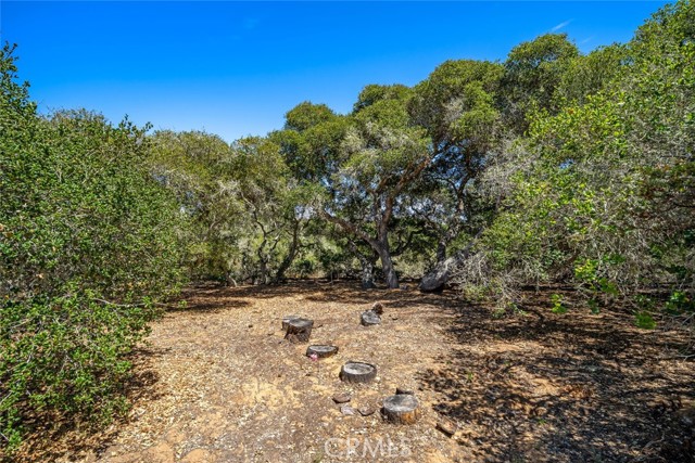 1606 Valley View Drive, Los Osos CA: https://media.crmls.org/medias/7f1dd89c-e949-4d8f-b908-4f22afaaf0d2.jpg