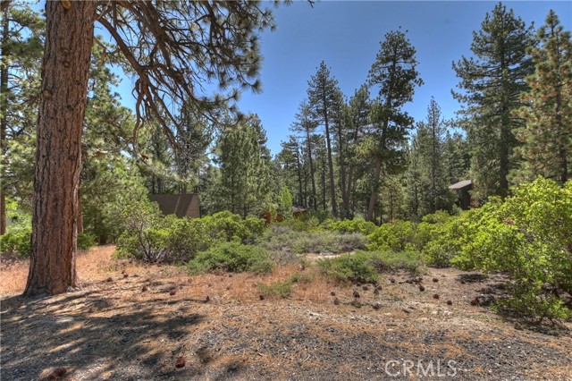 Detail Gallery Image 14 of 19 For 38602 Talbot, Big Bear Lake,  CA 92315 - – Beds | – Baths