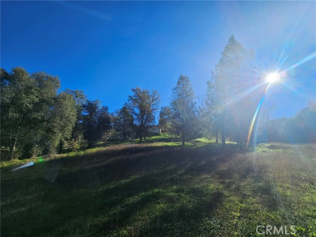 Detail Gallery Image 44 of 49 For 50814 Road 200, O Neals,  CA 93645 - 3 Beds | 3 Baths