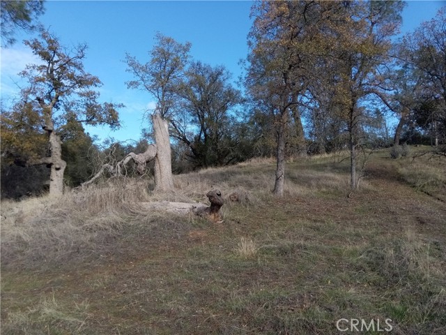 Detail Gallery Image 6 of 8 For 0 Limestone Cir, Coarsegold,  CA 93614 - – Beds | – Baths